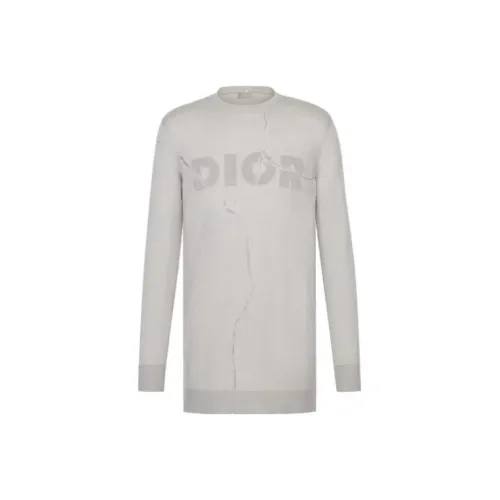 DIOR Серый Мужской Трикотаж