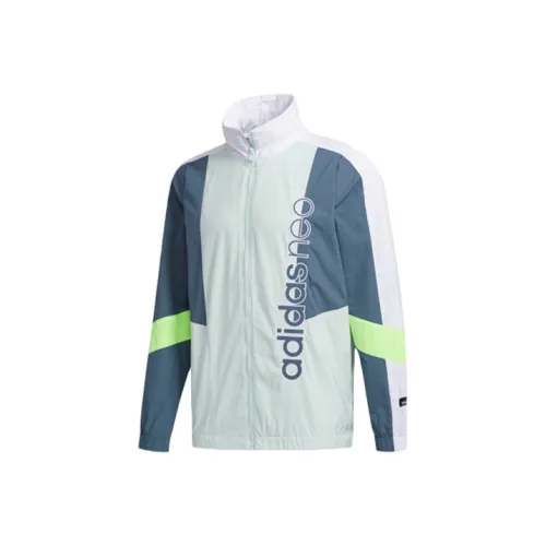 ADIDAS NEO Символический зеленый Мужские куртки