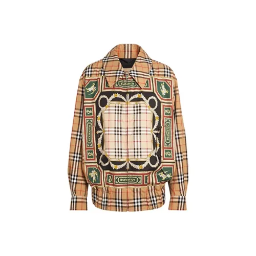 Burberry Классический стиль Желтый Мужской Куртки