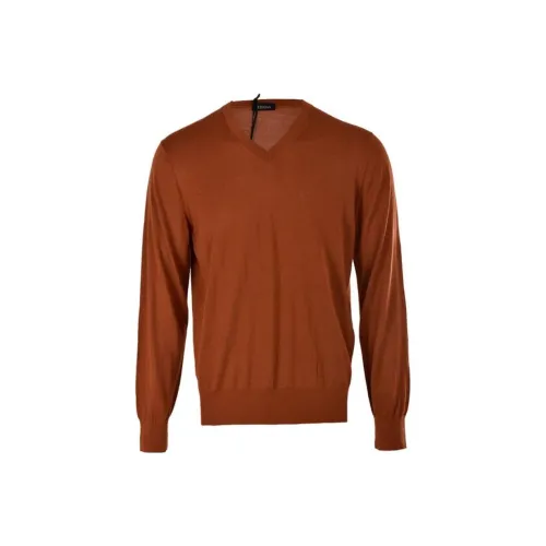 Ermenegildo Zegna Коричневые Мужские Свитера