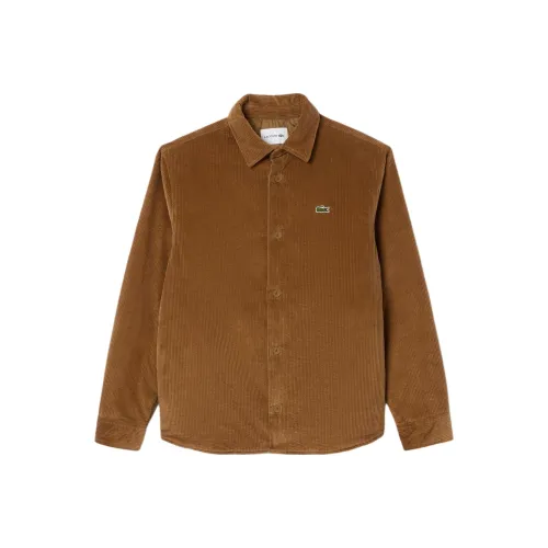 LACOSTE Collaboration Коричневые Мужские Рубашки