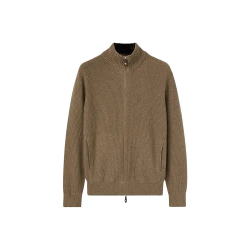 Loro Piana Коричневые Мужские Свитера