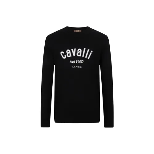 Cavalli Class Кашемировый свитер мужской