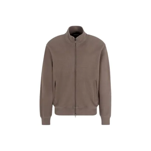 EMPORIO ARMANI SS25 Толстовка Мужской Коричневый