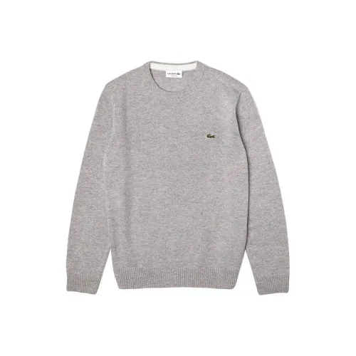 LACOSTE Collaboration Серый Мужской Трикотаж