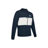 Коллегиальный синий