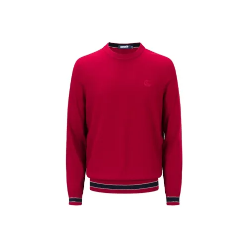 NAVIGARE Мужские Свитера