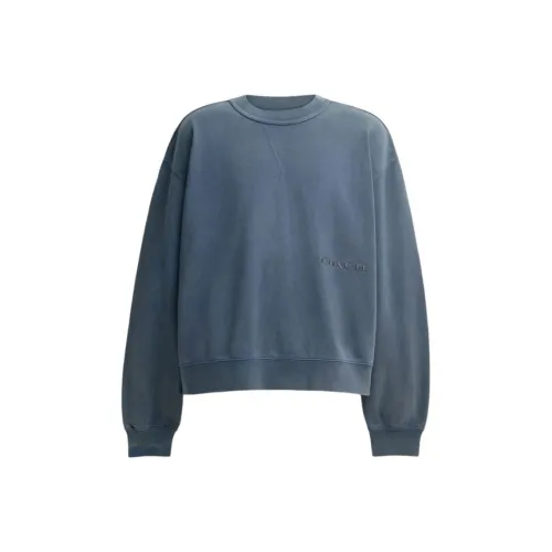 COACH FW24 Толстовка Мужской Морской Синий