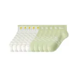 5 Белый медведь Полосы + 5 Зеленый медведь