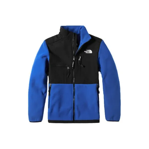 THE NORTH FACE 1995 Collection Флис Одежда Унисекс Синий