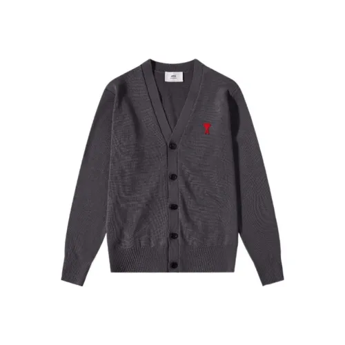 AMIPARIS Дымчатый Серый Мужской Трикотаж