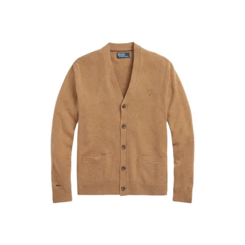 Polo Ralph Lauren FW23 Трикотаж Мужской Коричневый