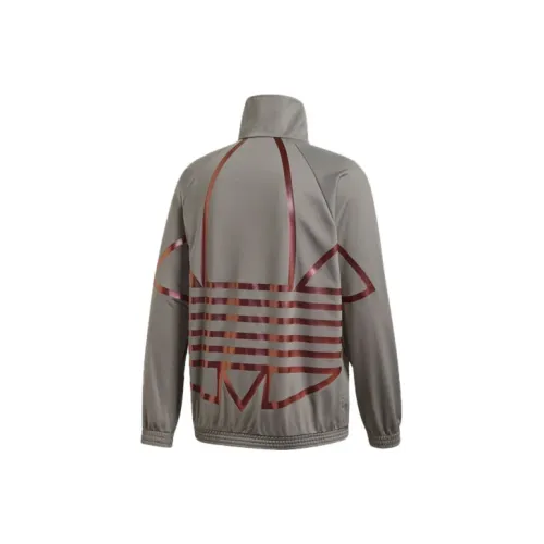 Adidas Originals Серые Мужские Куртки