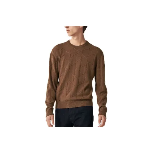 HERMES Коричневые Мужские Свитера