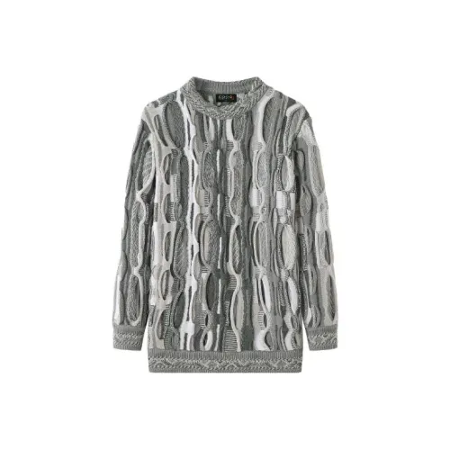 COOGI Серый Унисекс Свитеры