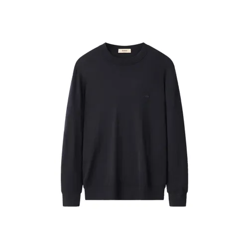 EDENBO Мужской Трикотаж