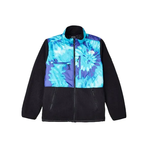 THE NORTH FACE DENALI Мужские Флисовые Куртки