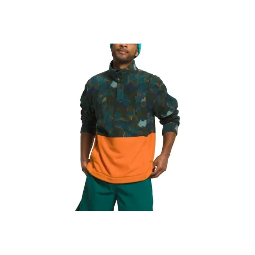 The North Face Многоцветные Мужские Свитера
