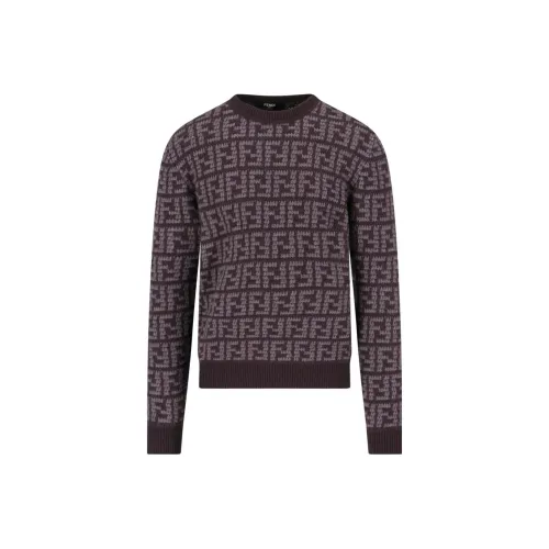 Fendi Коричневые Мужские Свитера