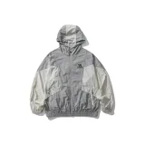 Лунно-каменный серый