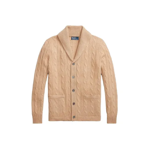 Polo Ralph Lauren Коричневые Мужские Свитера