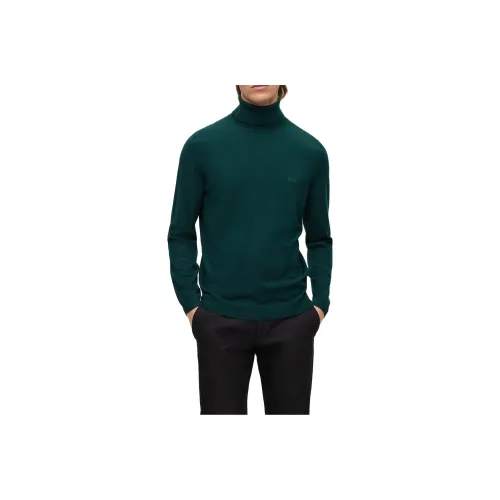 Hugo Boss Зеленые Мужские Свитера