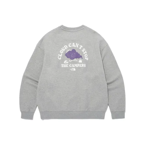 THE NORTH FACE Толстовка Мужская Серого цвета