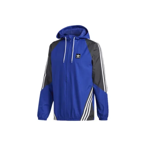 Adidas Originals Insley Синий Мужская Куртка