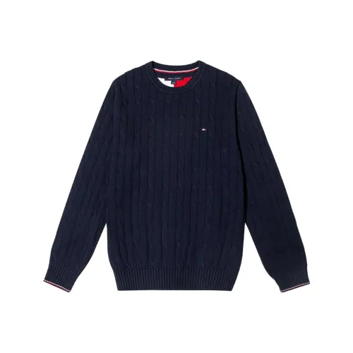 Tommy Hilfiger Темно-синие мужские свитеры