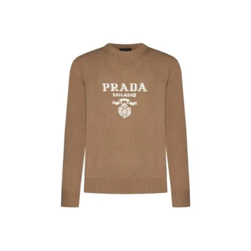 PRADA Коричневые Мужские Свитера