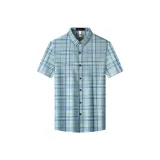 Серый Зеленый