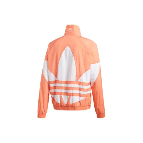 Adidas Originals Мужские Куртки