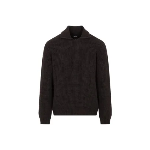 Ermenegildo Zegna Коричневые Мужские Свитера
