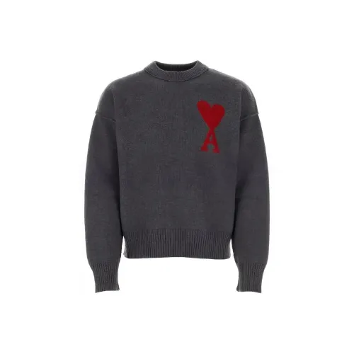 AMIPARIS Темно-серый Мужские Свитера