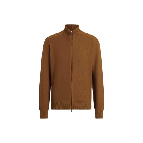 Ermenegildo Zegna Caramel Мужские кашемировые свитера