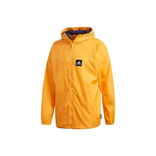 Adidas Желтые Мужские Куртки