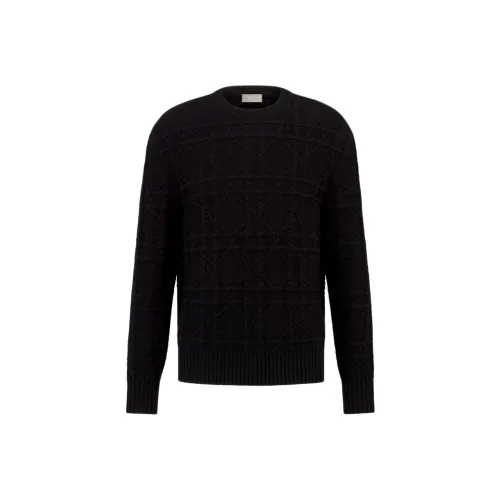 DIOR Icon FW24 Кашемировый свитер мужской черный
