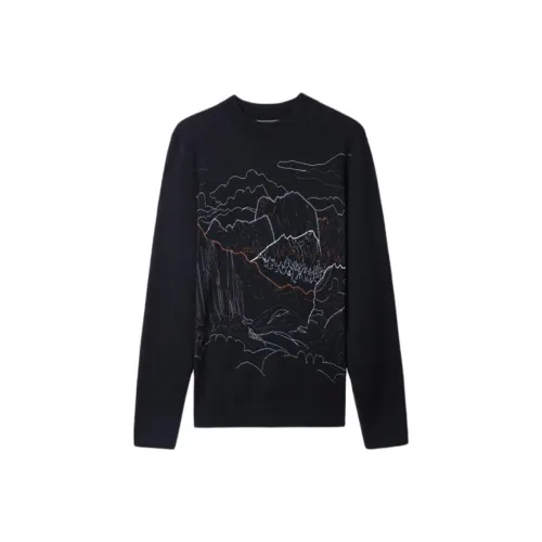 Wit Черные Мужские Свитера