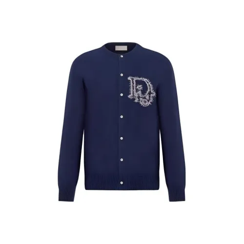 DIOR Синие Мужские Свитера