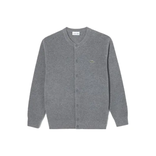 Свитеры для мужчин серого цвета с коллаборацией LACOSTE