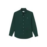 Тёмно-зелёный