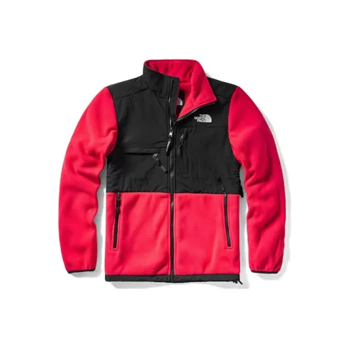 THE NORTH FACE 1995 Collection Куртка Унисекс