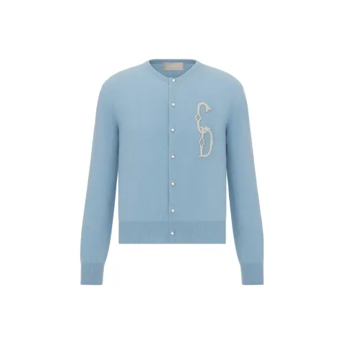 DIOR Синий Мужской Трикотаж