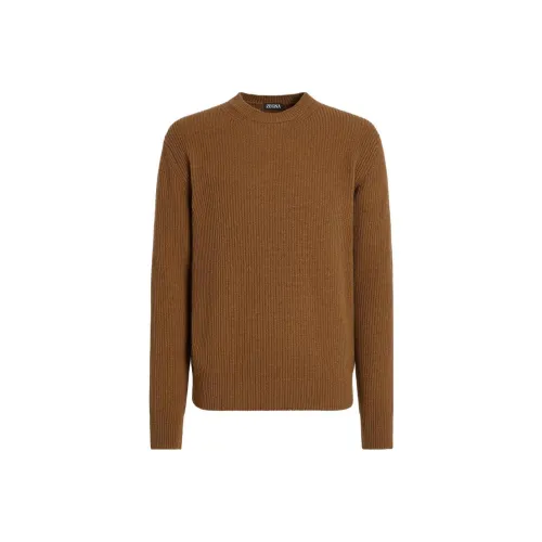 Ermenegildo Zegna Коричневые Мужские Свитера