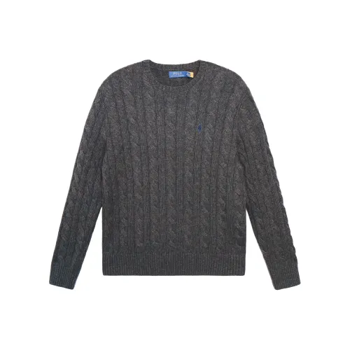 Polo Ralph Lauren Темно-серые Мужские Свитера