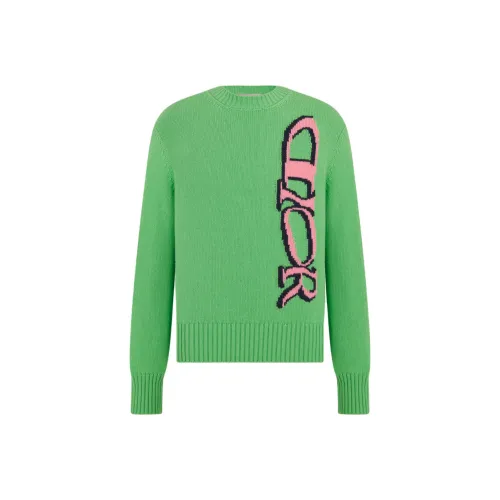 DIOR Зеленые Мужские Свитера