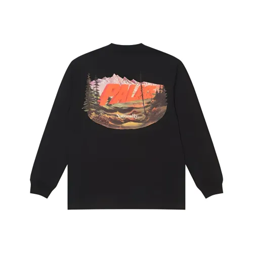 Дворцовый черный унисекс футболка