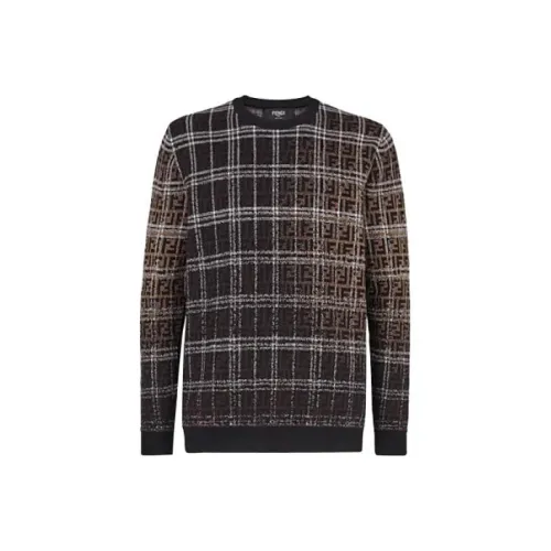 Fendi Коричневые Мужские Свитера
