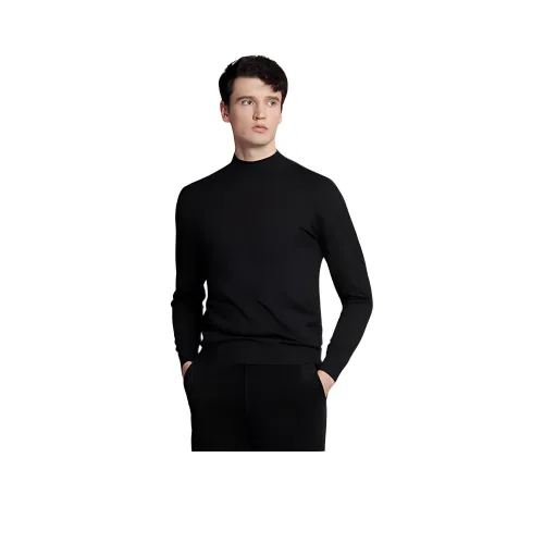 JODOLL Мужские Свитера