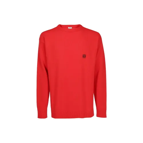 LOEWE Совместное издание Красные Мужские Свитера